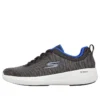 Go Walk Stability Progress «Negro Azul»